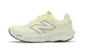 Fresh Foam 860v14 WMNS "Calcium Sea Salt Clementine" W860O14